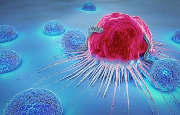 A study on natural killer cell immunoglobulin-like receptor (KIR) alleles shows that inhibitory KIRs alter NK cell function, leading to reduced NK cell cytotoxicity, and are associated with myalgic encephalomyelitis (ME).
sciencedirect.com/science/articl…