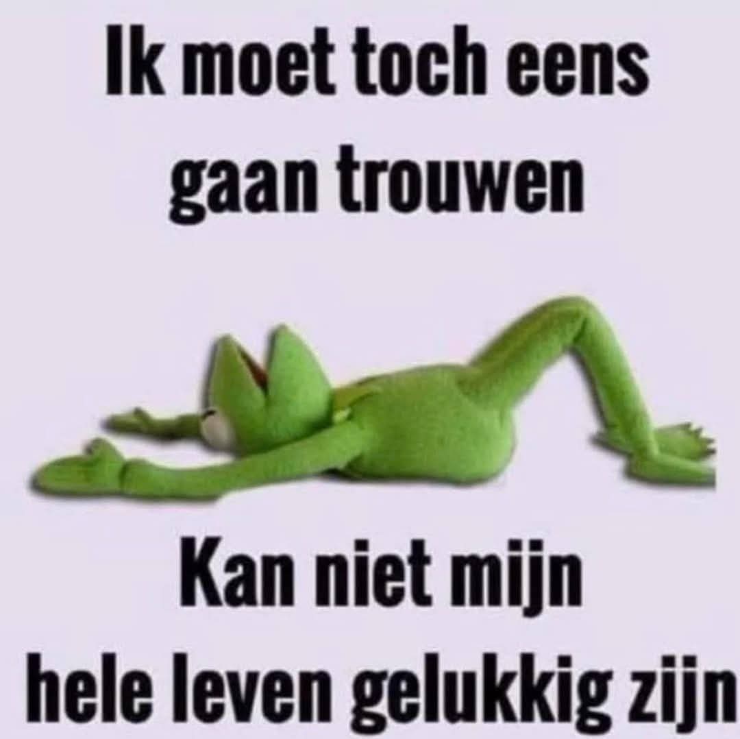 ElcodeGroot2's tweet image. 