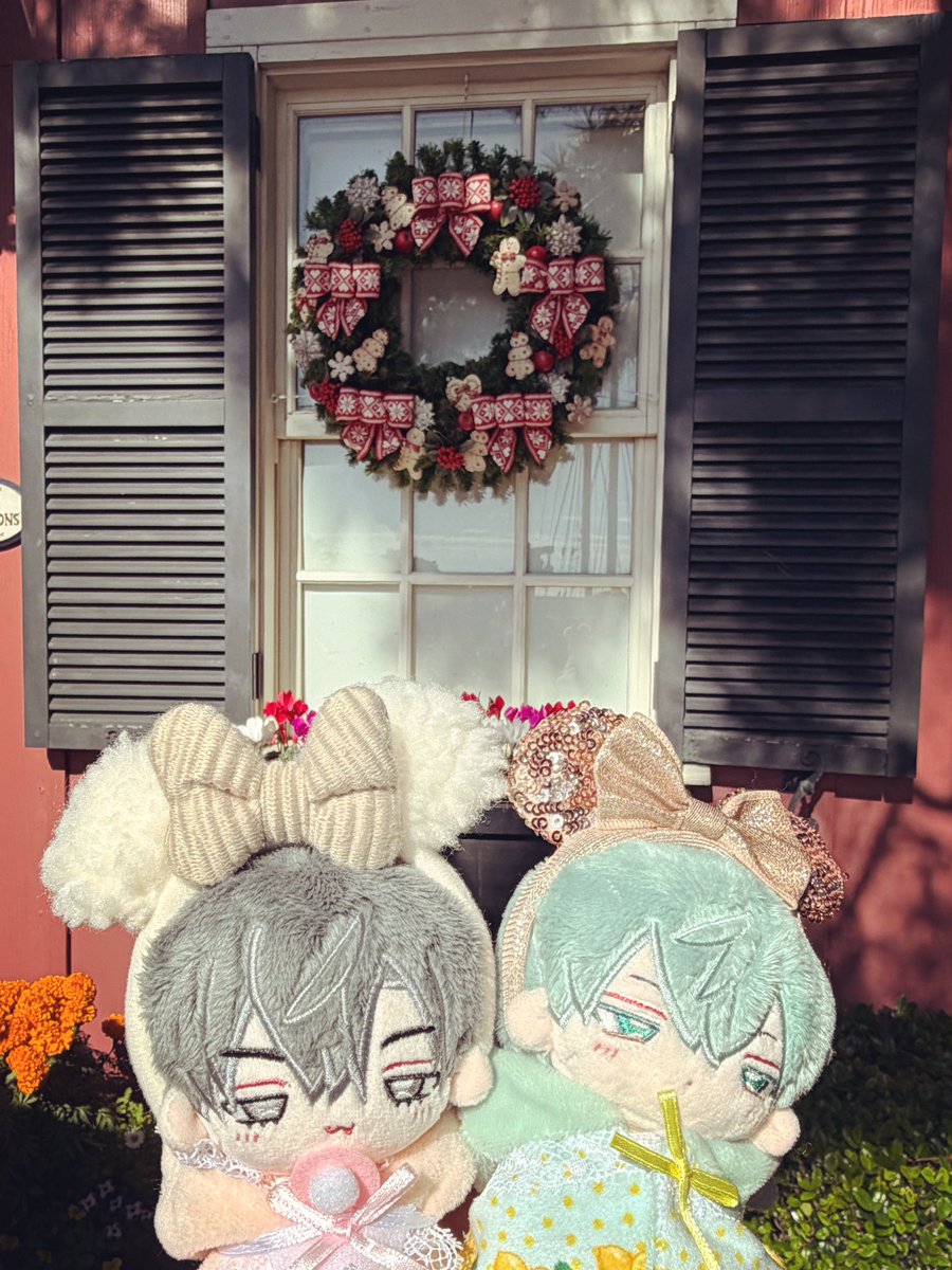 ぽめ磁ꪔ̤ (@magne_) / Posts / X