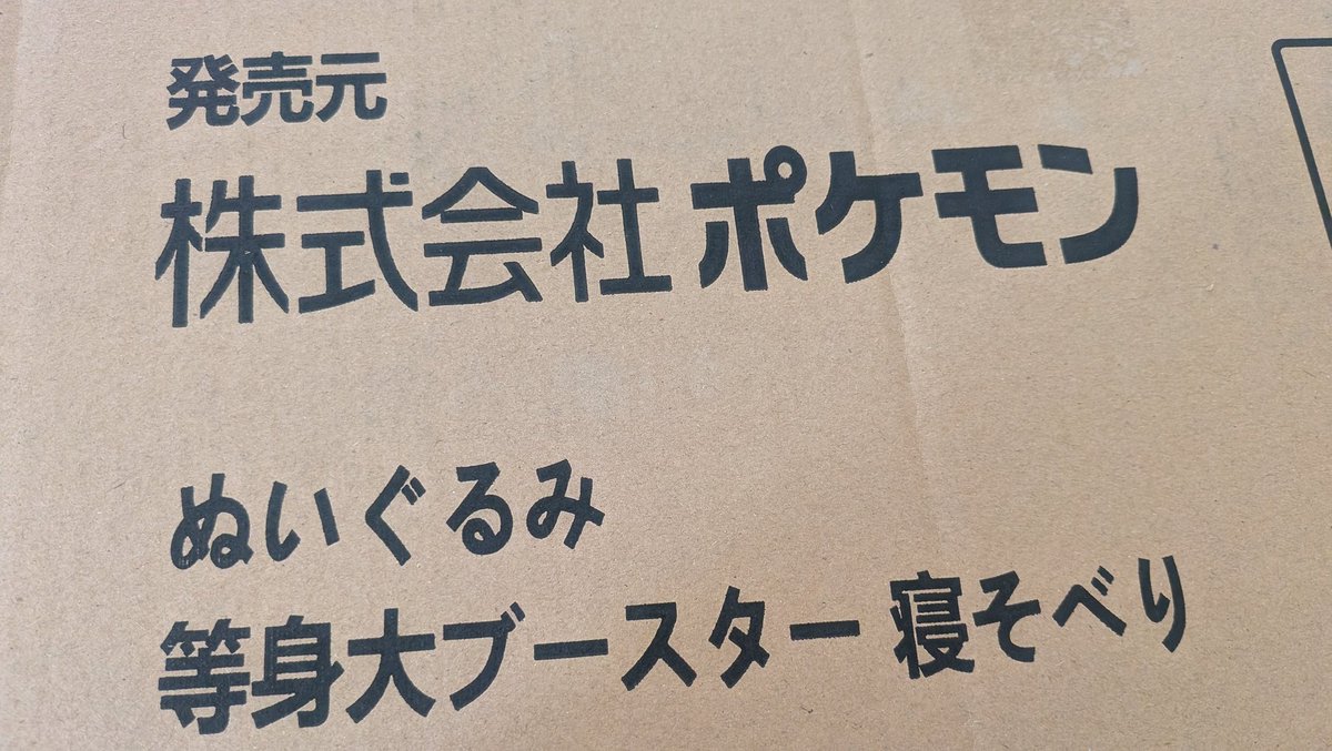 でっかい箱届いた！！！