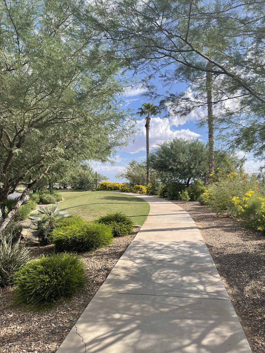 Have a great day everyone! Goodnight from Arizona. 🌙