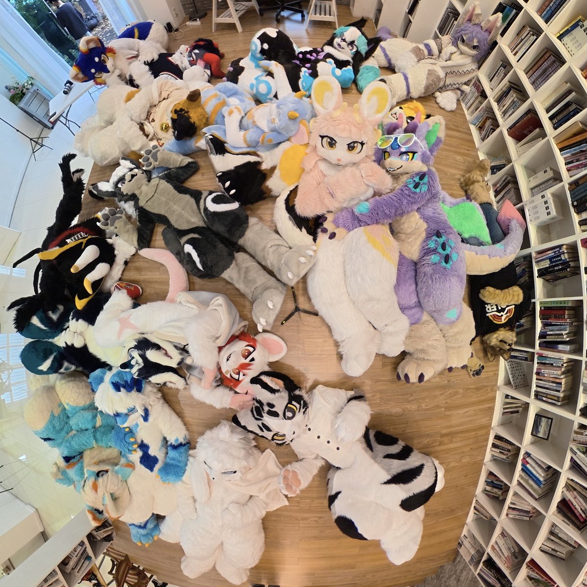 단체샷 릴렉스 버전(?)