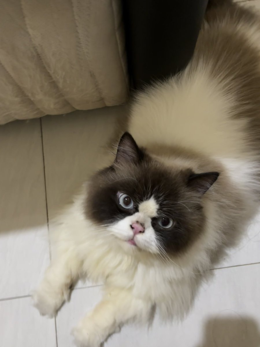 Kakak lagi kerja yahh?