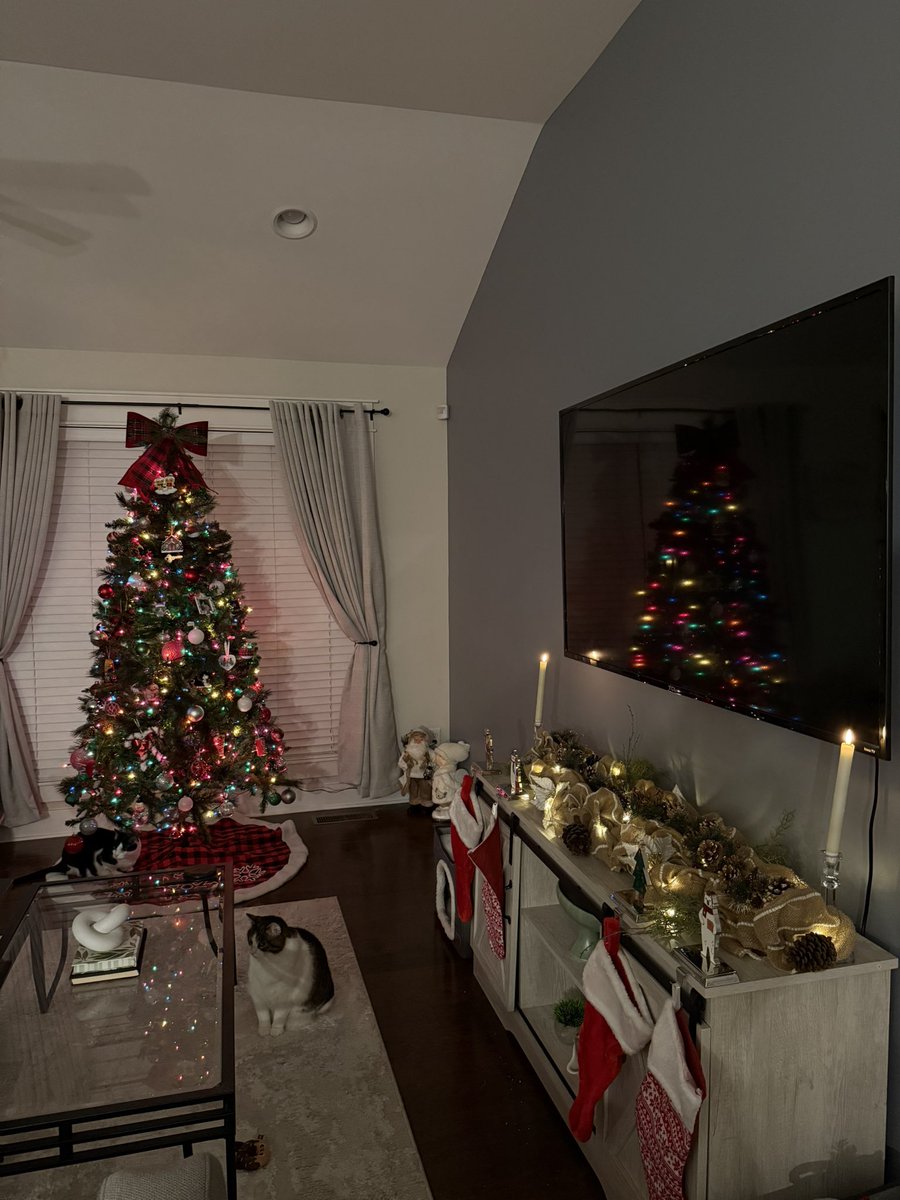 I loveeee itttt.. we loved picking out this years ornament 🥹 he got the office mug and I got hot Cheetos😋😋 second tree together, but first one in the new home❤️ now time to wrap presents!!!