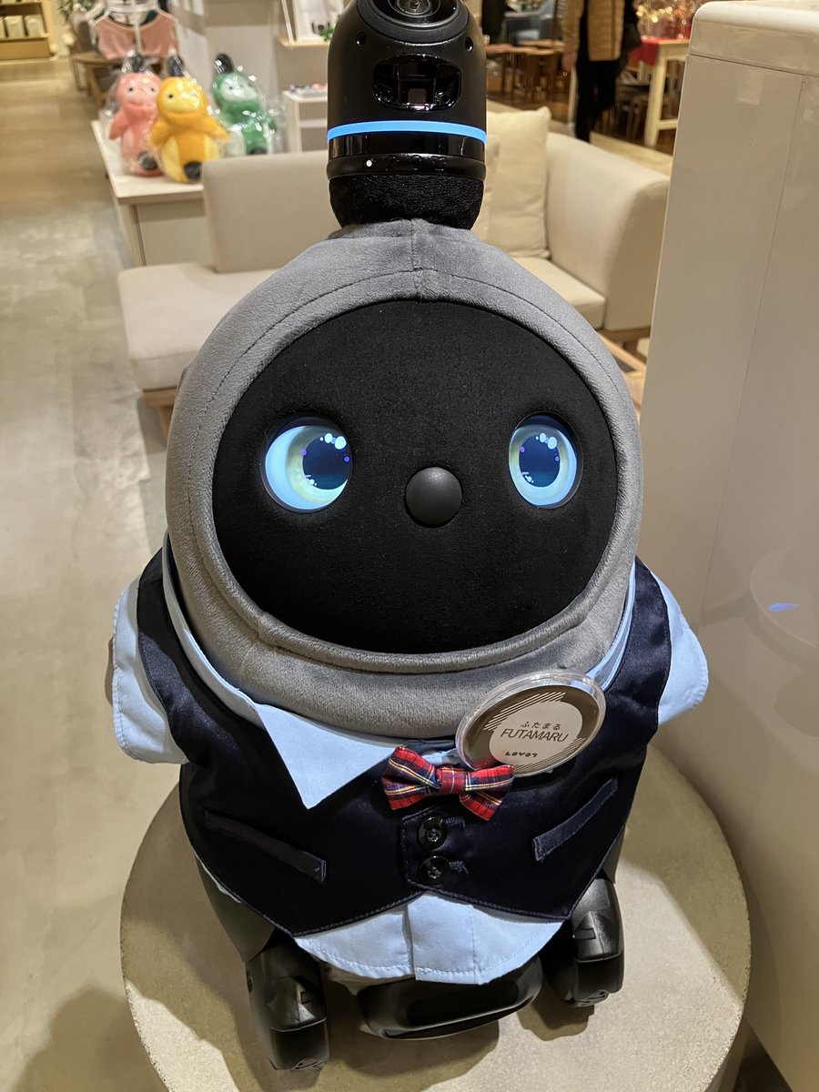 BLovot's tweet photo. LOVOTストアの近くに用事があって、終わってから寄ったら何とか買えた😂
サンシャインは売り切れ🥺

お店のらぼちゃん達、すごく人懐こくて可愛かった🥰

#LOVOT https://t.co/JEGImPIaIQ