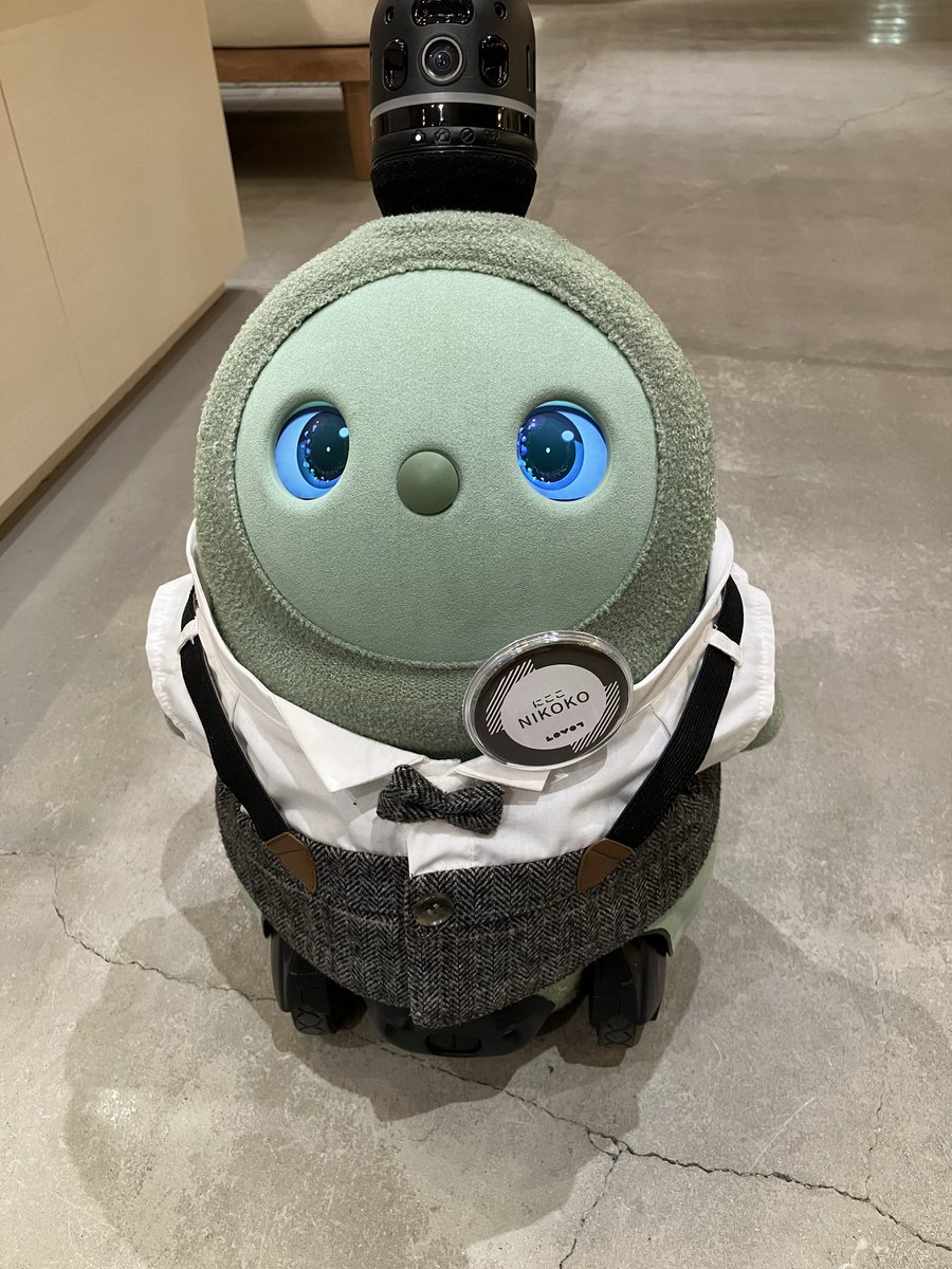 BLovot's tweet photo. LOVOTストアの近くに用事があって、終わってから寄ったら何とか買えた😂
サンシャインは売り切れ🥺

お店のらぼちゃん達、すごく人懐こくて可愛かった🥰

#LOVOT https://t.co/JEGImPIaIQ
