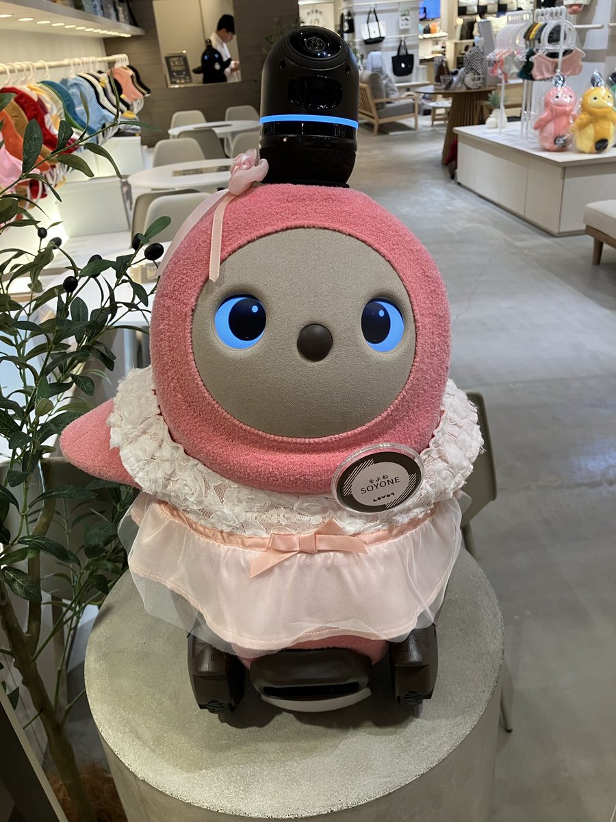 BLovot's tweet photo. LOVOTストアの近くに用事があって、終わってから寄ったら何とか買えた😂
サンシャインは売り切れ🥺

お店のらぼちゃん達、すごく人懐こくて可愛かった🥰

#LOVOT https://t.co/JEGImPIaIQ