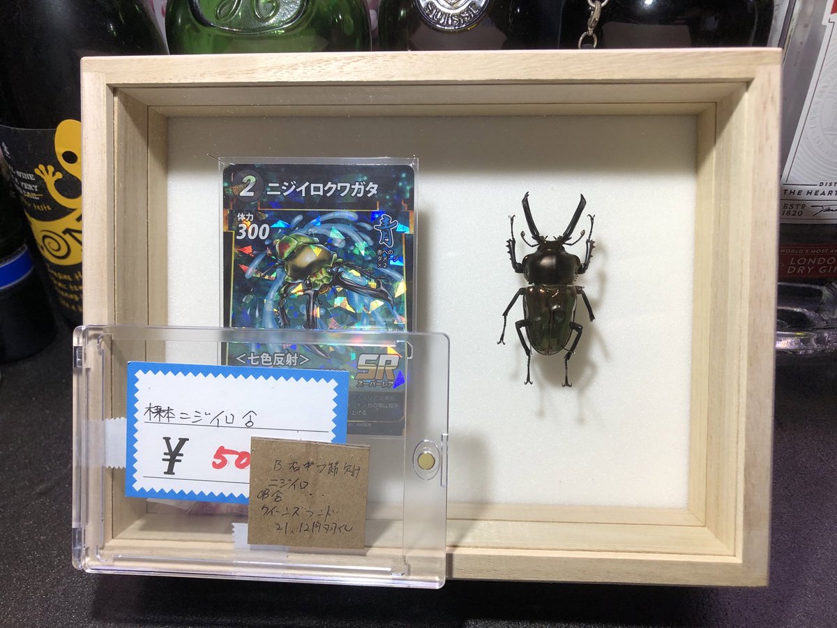 ジェロニモさん専用　21個 ジェロニモ (@Syn0315) / Posts / X