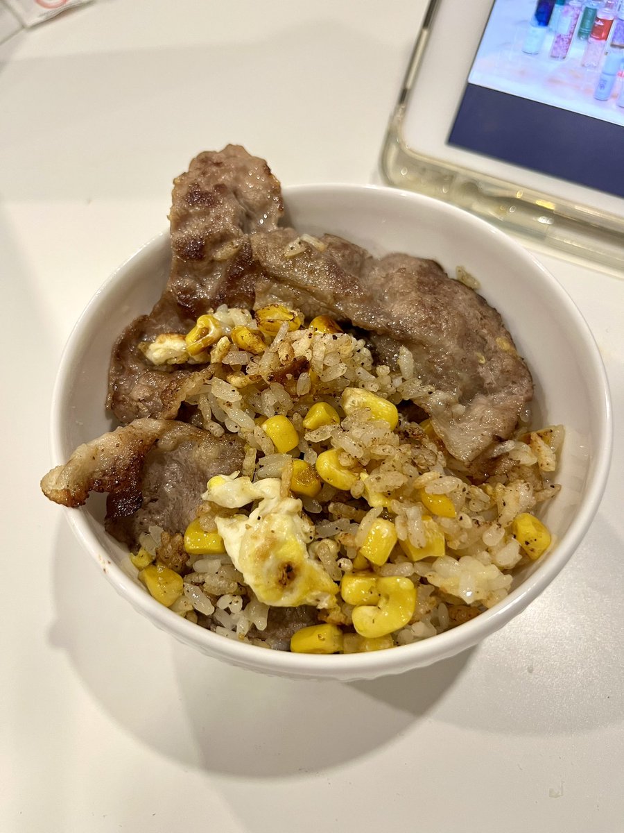 I have a 12 hour shift tomorrow and I miss my dog. Egg fried rice with beef.