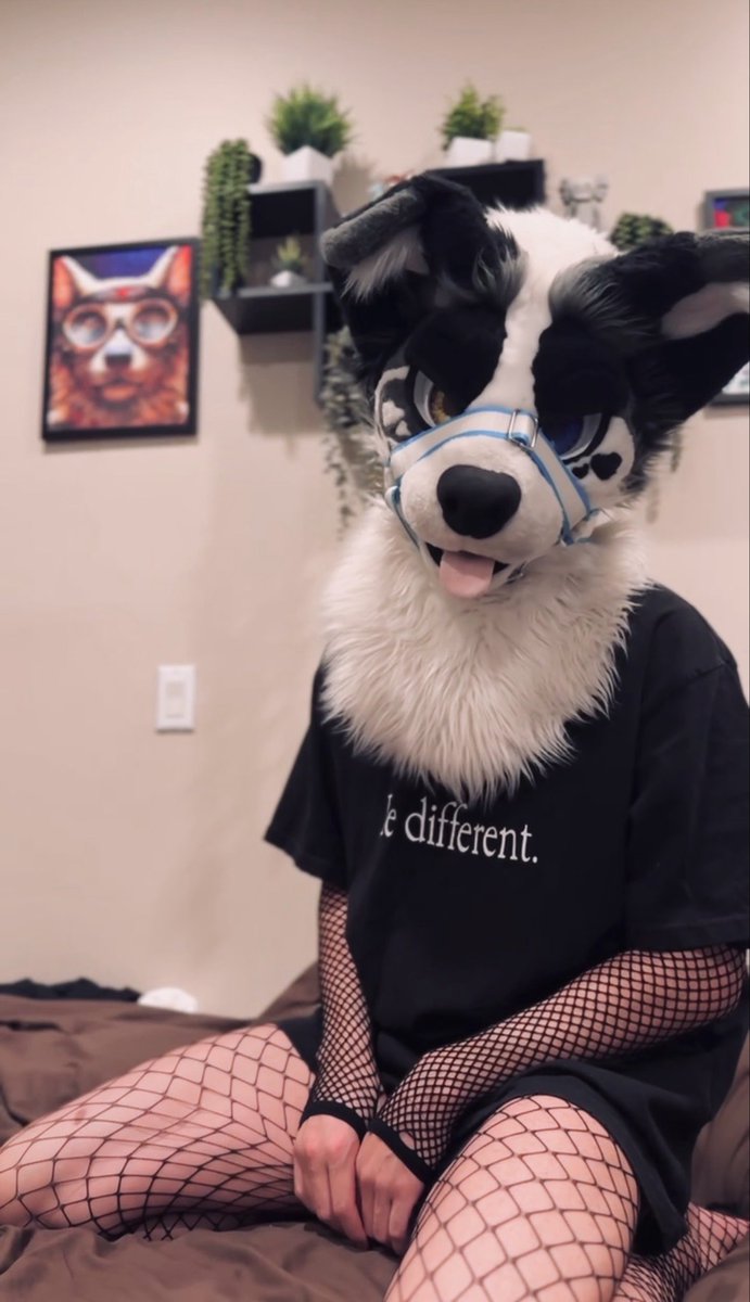 DIOR🐶 (2 PIECE) 🔜 TFF, LVFC 🎰 tweet media