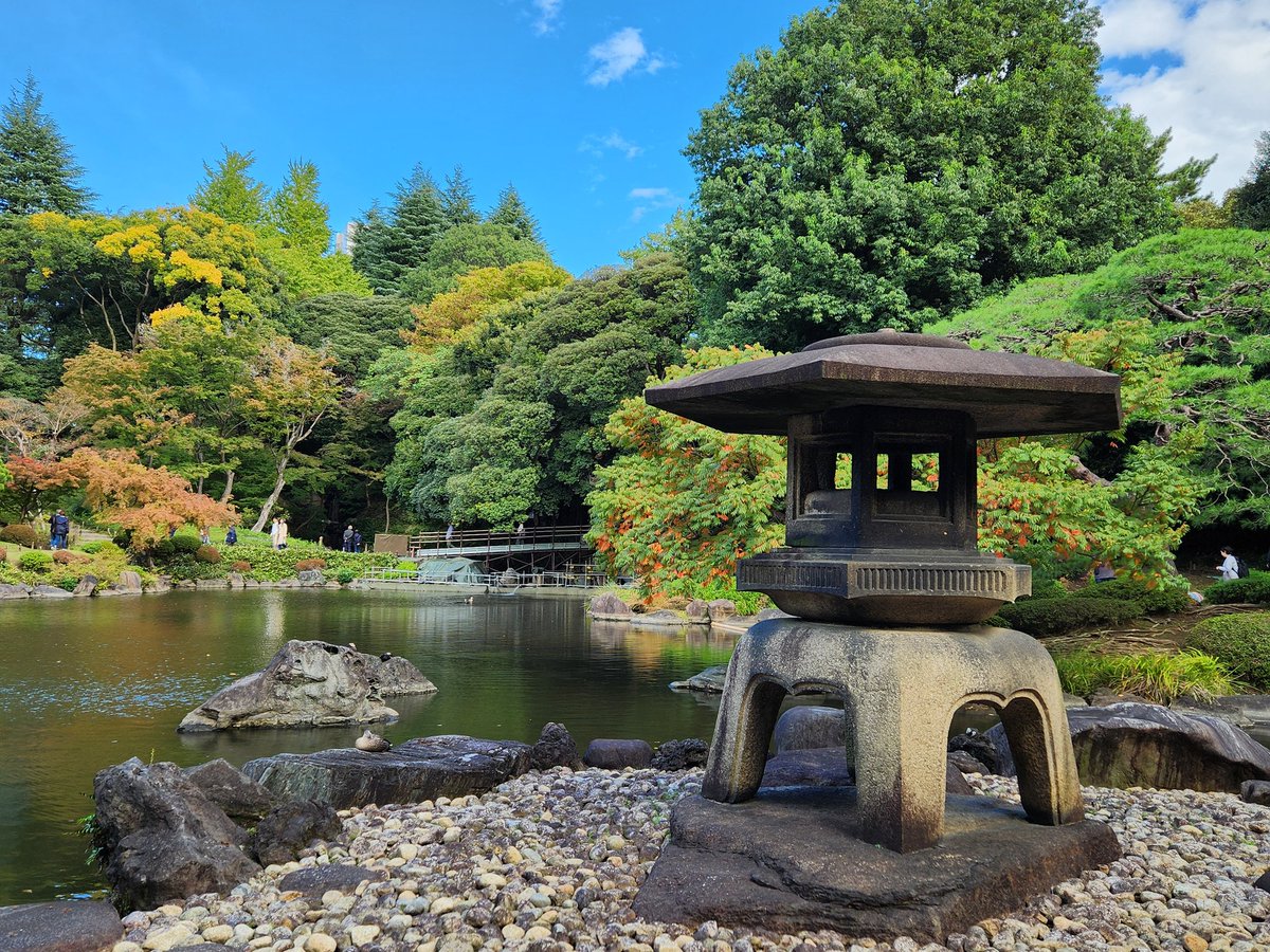 住む部屋を決めるときは窓から緑が見えるところにしてるって言ってたよね。
木々の紅葉、高く澄んだ空　見てますか？繋がってるね。
#青が好き #青空