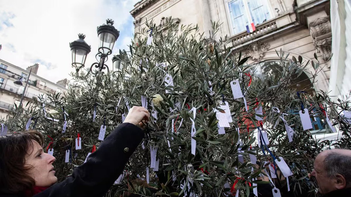 Le 13 novembre 2019, nous accrochions des messages sur l’Olivier de la Paix. Il a depuis été planté à l’une des entrées du Jardin du 13 novembre. 
📷 <a href="/PHOTO_AM_FR/">Morissard Aurélien</a>