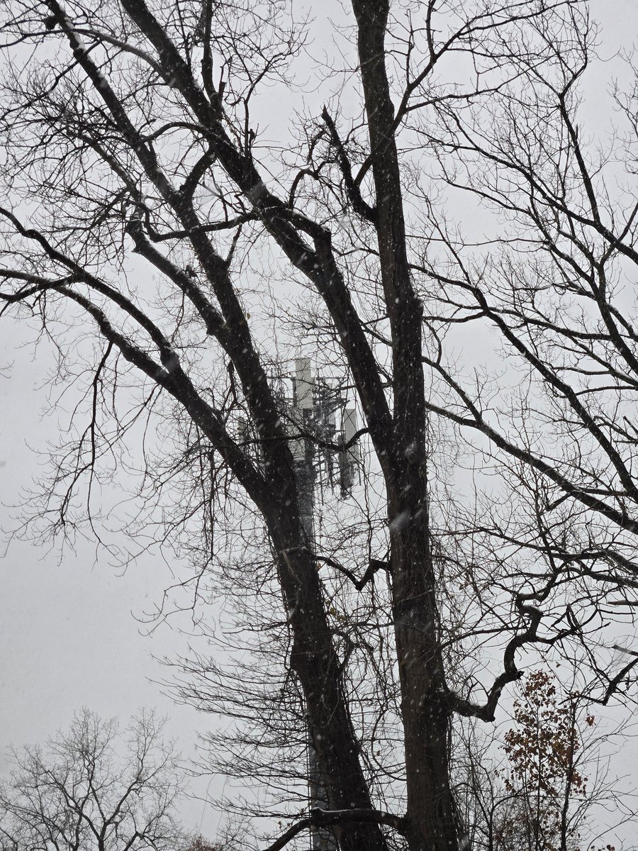 Cool Tech tweet media