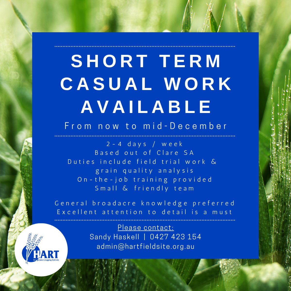 HartField-SiteGroup tweet media