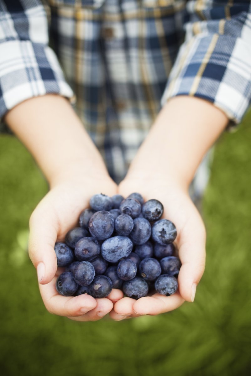 🇺🇸🫐#アメリカ産ブルーベリー フェア 11/11スタート！
関東の人気カフェ＆レストラン25店舗で、#ブルーベリー クレープやスムージーなど #限定スイーツ 登場✨
数量限定 なのでお早めに！
🎁プレゼントキャンペーンも実施中！
詳細はプロフィール＆固定投稿をチェック✔️