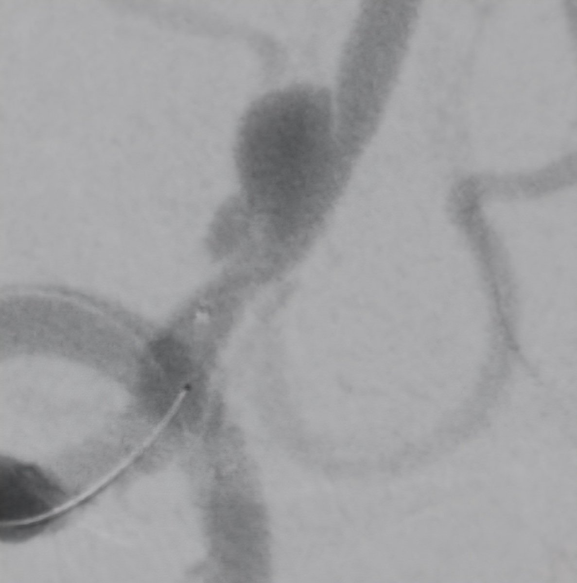 Ehsan Mohammad Hosseini tweet media