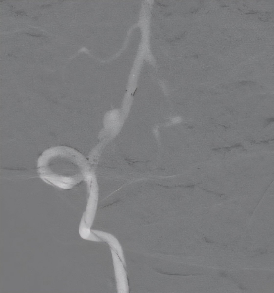 Ehsan Mohammad Hosseini tweet media