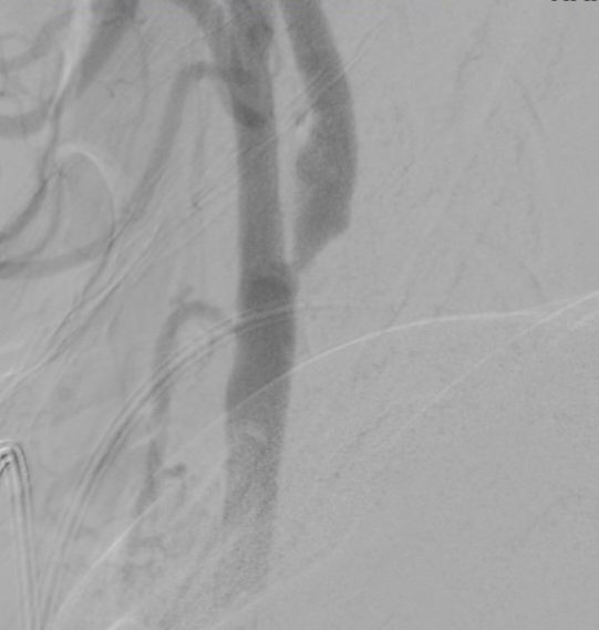 Ehsan Mohammad Hosseini tweet media