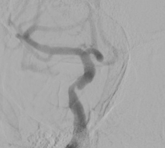 Ehsan Mohammad Hosseini tweet media