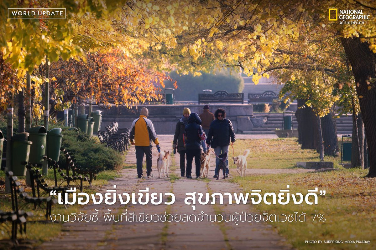 NatGeoMagTH's tweet photo. ข้อค้นพบจากการศึกษาใหม่ ที่รวบรวมข้อมูลผู้ป่วยจิตเวชกว่า 11.4 ล้านคน จาก 6,842 พื้นที่ ใน 7 ประเทศ (รวมถึงประเทศไทย) ตลอดระยะเวลา 20 ปี ผลวิจัยชี้ว่า ยิ่งพื้นที่รอบตัวมีความ “เขียว” มากเท่าไร ความเสี่ยงต้องเข้าโรงพยาบาลเพราะปัญหาสุขภาพจิตยิ่งลดลงแบบต่อเนื่อง https://t.co/hcfNENq1FB
