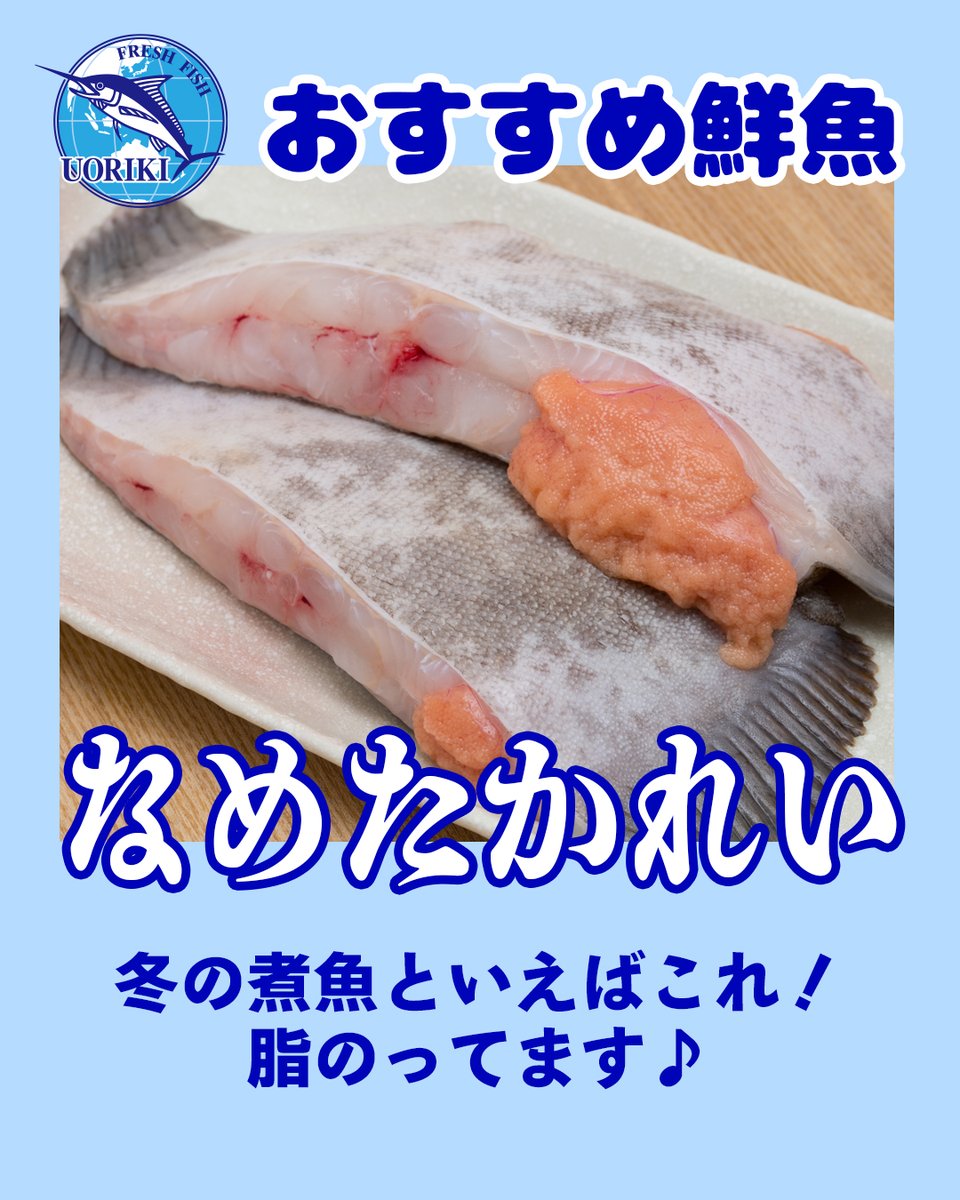 魚力イチオシ
今月のおすすめ鮮魚は　🍁なめたかれい🍁

旬は３月頃までです。寒い時期は身が厚くなり脂がのってきます。産卵期前の子持ちのなめたかれいは特に高級魚とされています。

（店舗によって取扱いがない場合があります）

#魚力　#魚屋　#旬 #海鮮 #かれい #魚料理