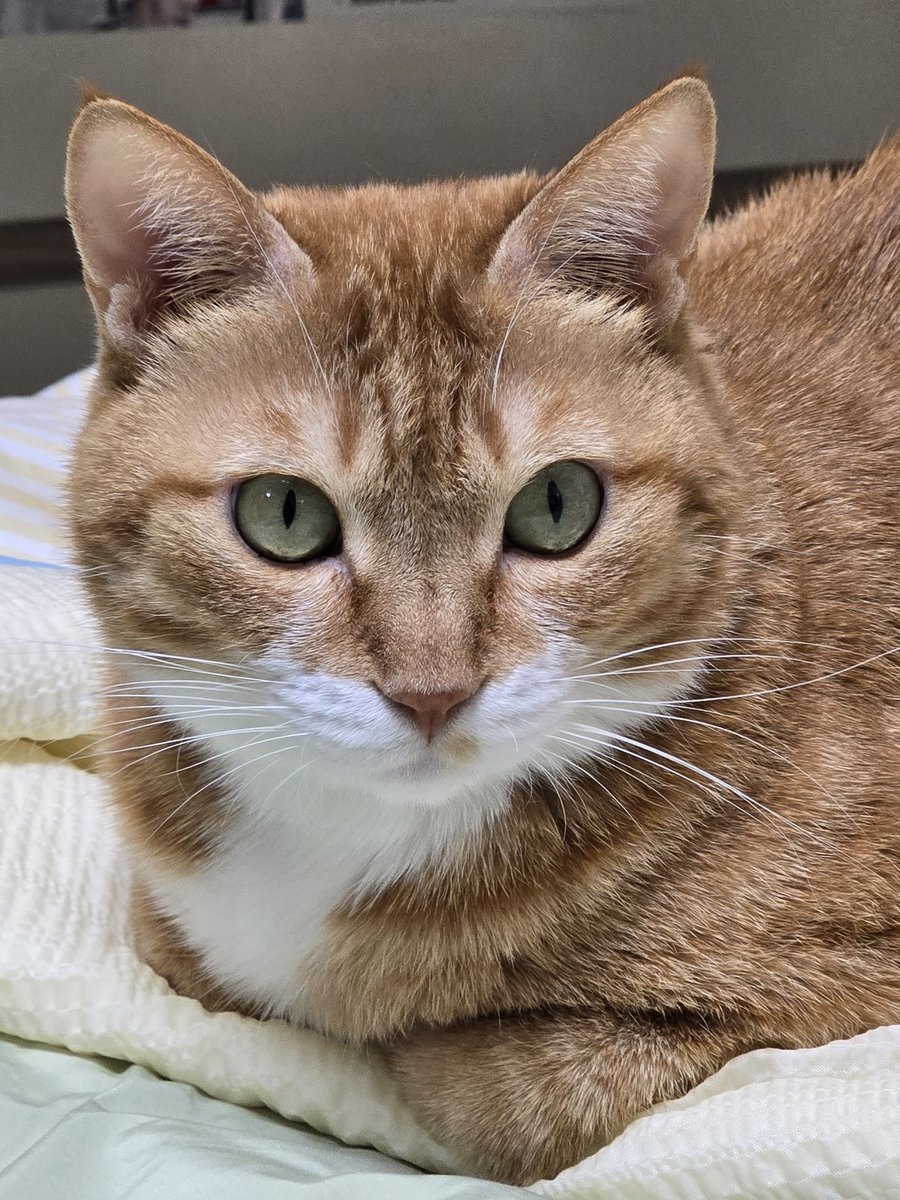 동글동글하다. 동글동글한.
동글동글하다. 동글동글한.
동글동글하다. 동글동글한.
동글동글하다. 동글동글한.