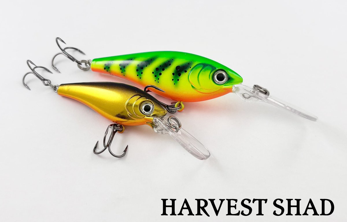 RAPALA ラパラ・ジャパン株式会社 (@rapalajapan) / Posts / X