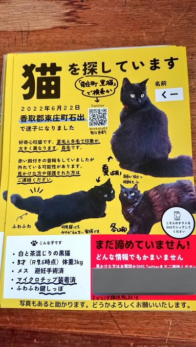 黒猫様 御専用 むさ on X