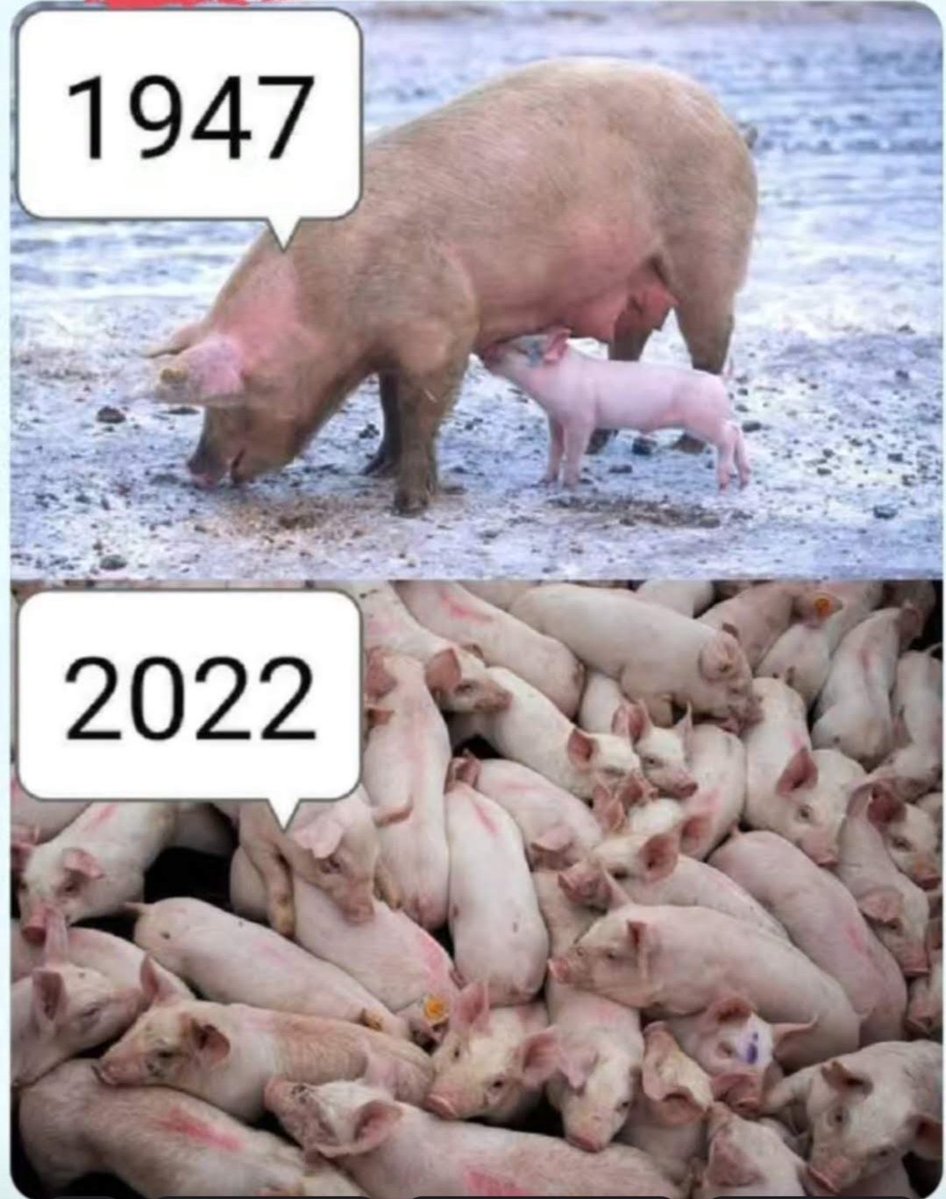 <a href="/SureshG37675707/">🚩S.K. Goyal( मोदी का परिवार)</a> <a href="/CSRamRam1/">Chandra Shekhar Tripathi मोदी का परिवार</a> <a href="/budbukbum/">NotAbot</a> <a href="/Harisha11600034/">🌷 मंगल पाण्डेय 🌷</a> <a href="/y_tanawala/">HINDU TANAWALA YOGESH</a> <a href="/SureshA74732559/">🚩SKGoyal (मोदीजी का परिवार)</a> <a href="/RajeevKrSharma9/">RajeevKrSharma</a> <a href="/KING863059/">💥 दिल्ली वाले के दूर के चिचा(मोदी जी का परिवार)💥</a> <a href="/vibhasr21564907/">Akhilesh Sri7</a> <a href="/Bittu2590/">🚩HINDU BITTU SHARMA🚩</a> <a href="/GoelToshi/">Toshi Goel</a> <a href="/Ravigayawala/">Shri Ravi Shankar</a> <a href="/Rabindr04447047/">Rabeendra Singh</a> <a href="/ShriPrakashAw14/">श्रीप्रकाश अवस्थी🇮🇳</a> <a href="/nkvermaji201/">Nk Verma</a> <a href="/SushilaMehta123/">Sushila Mehta</a> <a href="/AdityaJanmejay/">🚩हिंदू आदित्य जन्मेजय🚩</a> <a href="/cdsmumbai2022/">Chakradhar Sarangi</a> <a href="/Dhanesh52299862/">Dhanesh Singh</a> <a href="/MPandey13178/">Maneesh Pandey</a> <a href="/AmitLeliSlayer/">Boiled Anda</a> <a href="/bhil_mahavir/">mahavir p.bhil ( first nation & religion)</a> <a href="/Hyper1008/">Hyper</a> <a href="/narpat_rat18280/">ठाकुर साहब</a> <a href="/AmarNat87959563/">🇮🇳अमर भारती 🇮🇳</a> <a href="/Rohit57911/">Rohit Sharma</a> <a href="/OfficeRajeev/">Office Rajeev Kumar</a> <a href="/charchapolitics/">चौपाल</a> <a href="/rpdular1/">राजपाल दूलर Rajpal Dular</a> <a href="/ChelatSivadas/">Enjoy Life</a> <a href="/parv09_bharat/">भारत भाग्यविधाता 🇮🇳🇮🇳</a> <a href="/angryladki/">ANGRY BIRD 💎 (Modi का परिवार)</a> <a href="/CBShukla3/">C. B. Shukla</a> <a href="/anitavladivoski/">Dr. Anita Vladivoski</a> <a href="/rajp95490414/">vikash raj Chauhan सनातनी योद्धा</a> <a href="/faiz_khan111/">Faiz Khan</a>
<a href="/maulanadehlavi/">Syed Athar Dehlavi सैयद अतहर देहलवी سید اطہر دہلوی</a>  <a href="/KaleemulHafeez/">Kaleemul Hafeez</a>  <a href="/ARehman786786/">Atiq ur Rehman</a>
 <a href="/Drrehmani/">Taslim Ahmed Rehmani</a>  <a href="/ansarraza16/">Ansar Raza</a> <a href="/SalmanNizami_/">Salman Nizami</a>  <a href="/salman7khurshid/">Salman Khurshid</a> <a href="/RanaAyyub/">Rana Ayyub</a>  <a href="/MuftiMZiyaee/">Mufti Manzur Ziyaee</a>
<a href="/warispathan/">Waris Pathan</a>
<a href="/shadab_chouhan1/">Shadab Chauhan شاداب چوہان</a> <a href="/khanumarfa/">Arfa Khanum Sherwani</a> <a href="/CommonBS786OM/">BITTU SHARMA- ‏بٹو شرما</a>
<a href="/ArshadMadani007/">Arshad Madani</a>
ऐसे वाले #SUअरो ने