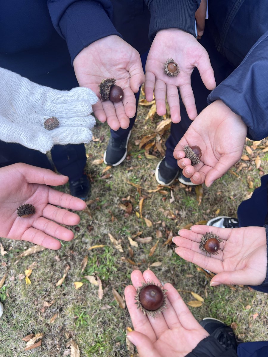神苑梅林 梅宮大社神苑 ― 京都市右京区の庭園。 | 庭園情報メディア【おにわさん】