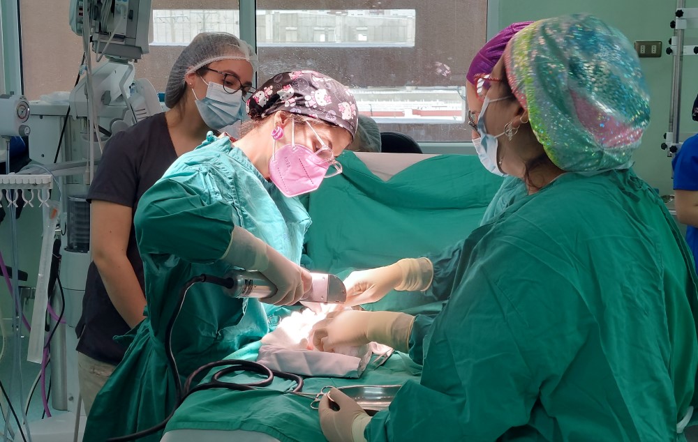 dialogosur's tweet image. #Salud #Comed Médicos responsabilizan a hospital y Servicio de Salud por déficit en atención oncológica: Punta Arenas. 10 noviembre 2025. El Consejo Regional Magallanes del Colegio Médico de Chile manifestó su preocupación ante los antecedentes… dlvr.it/TP9xYJ