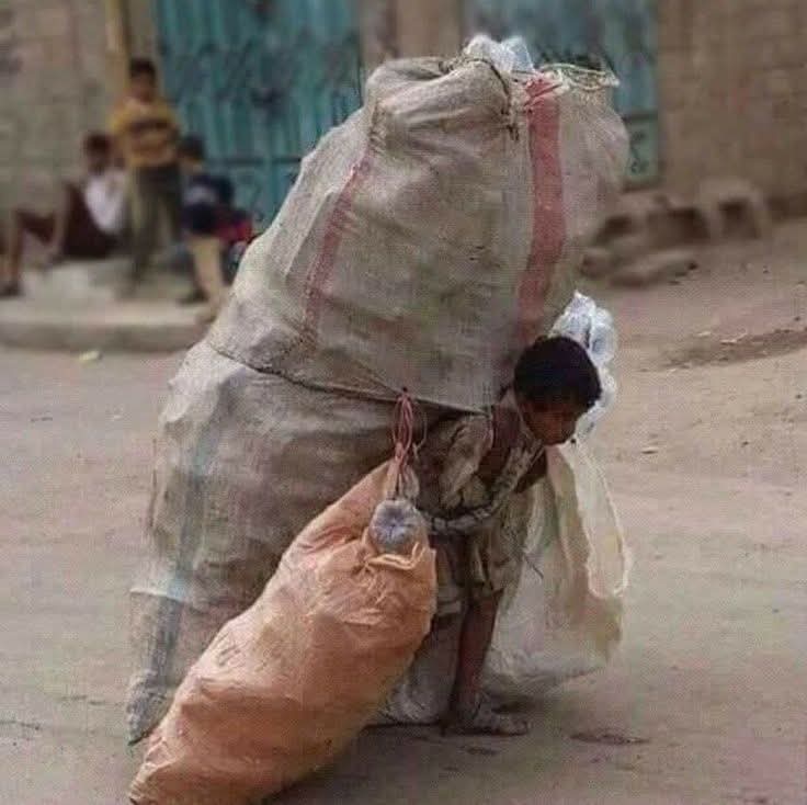 M.Zahid Shah tweet media