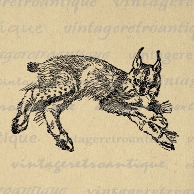 Love <a href="/peadoesnothin/">pea ᶻ 𝗓 𐰁 .ᐟ</a>