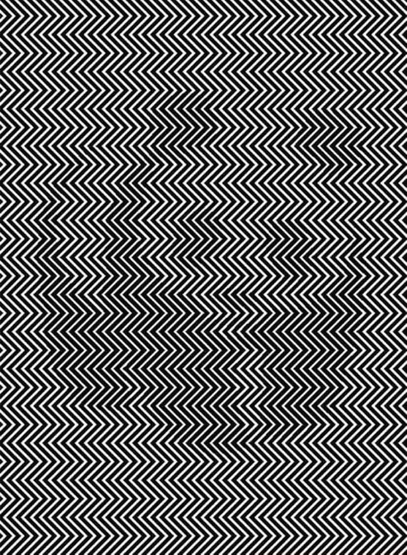 TrendTrackWorld's tweet image. Name Animal