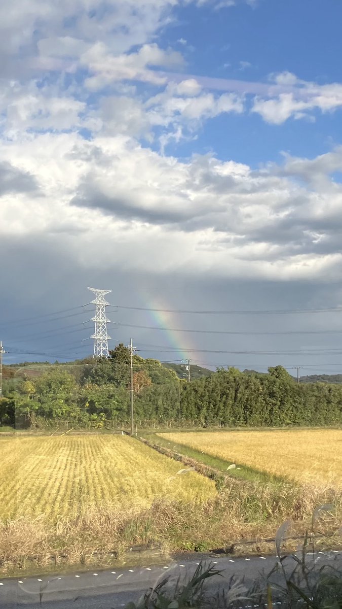 小湊鉄道、どの駅も木造駅舎で可愛らしい( ´ ▽ ` )
帰りの電車では虹も見れてお得感倍増🌈