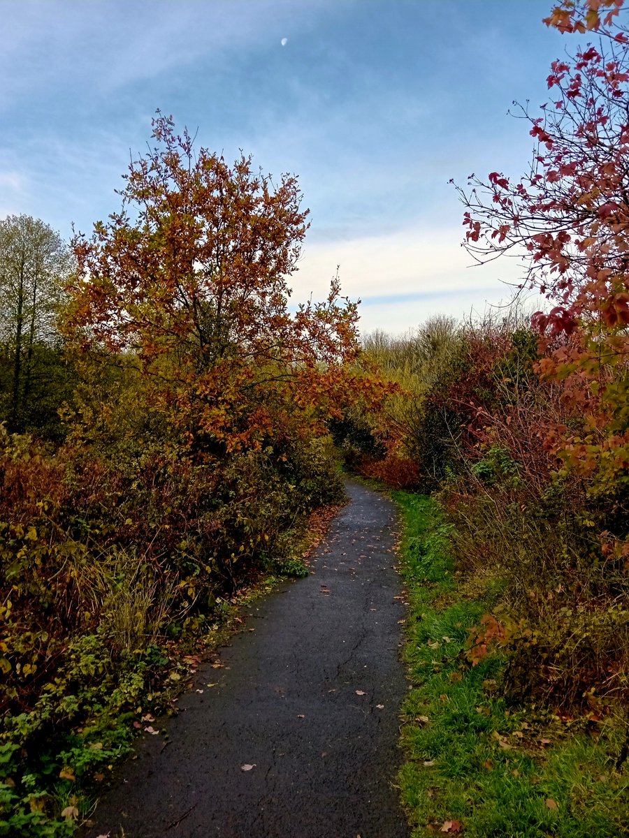 Tinalouisereads's tweet image. Morning walk over Sedgley Hall Park #Sedgley #sedgleyhallpark