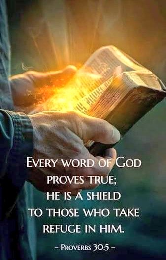 God is our refuge and strength, a very present help in trouble.  Psalm 46