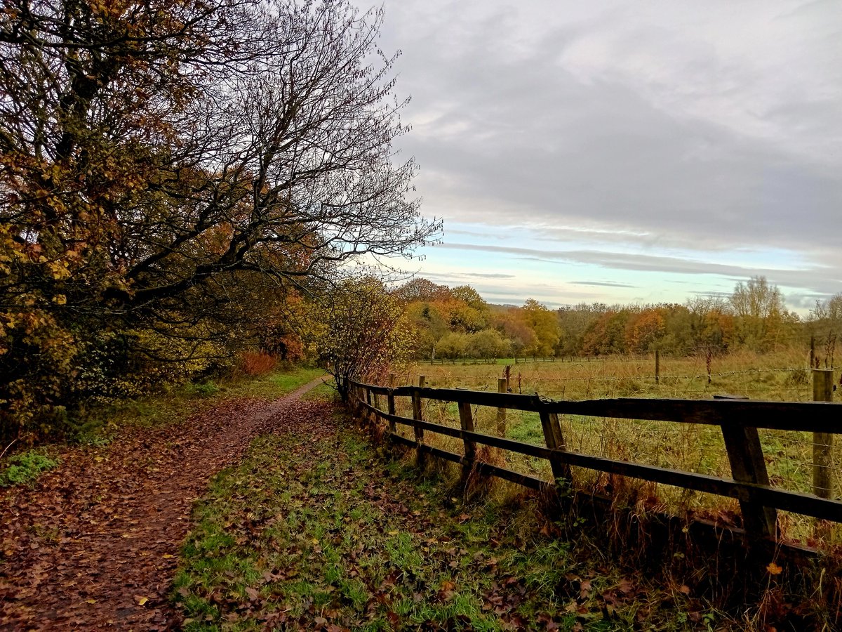 Tinalouisereads's tweet image. Morning walk over Sedgley Hall Park #Sedgley #sedgleyhallpark
