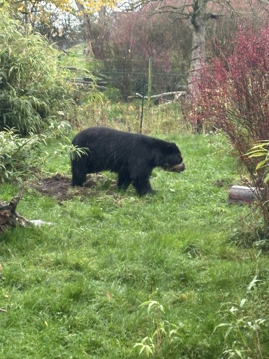 vicky8509's tweet photo. Elliot braved the rain on Sunday and enjoyed a visit to the zoo! https://t.co/bAou0syzTC