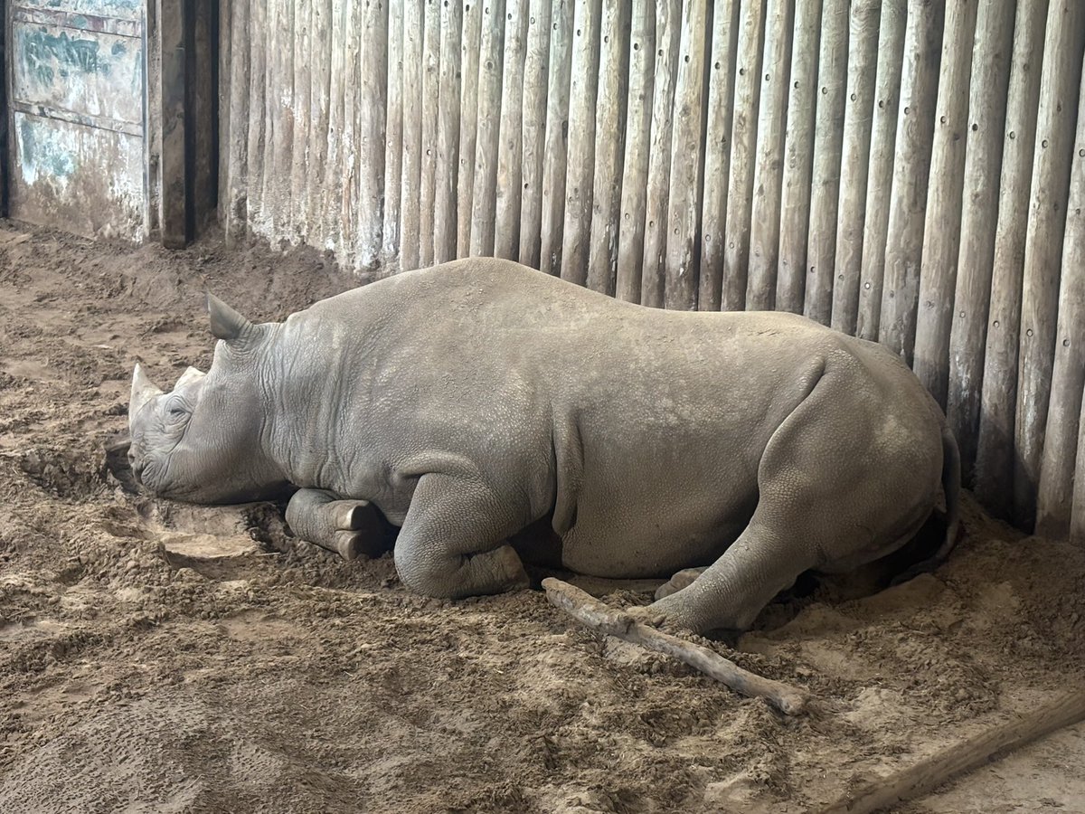 vicky8509's tweet photo. Elliot braved the rain on Sunday and enjoyed a visit to the zoo! https://t.co/bAou0syzTC