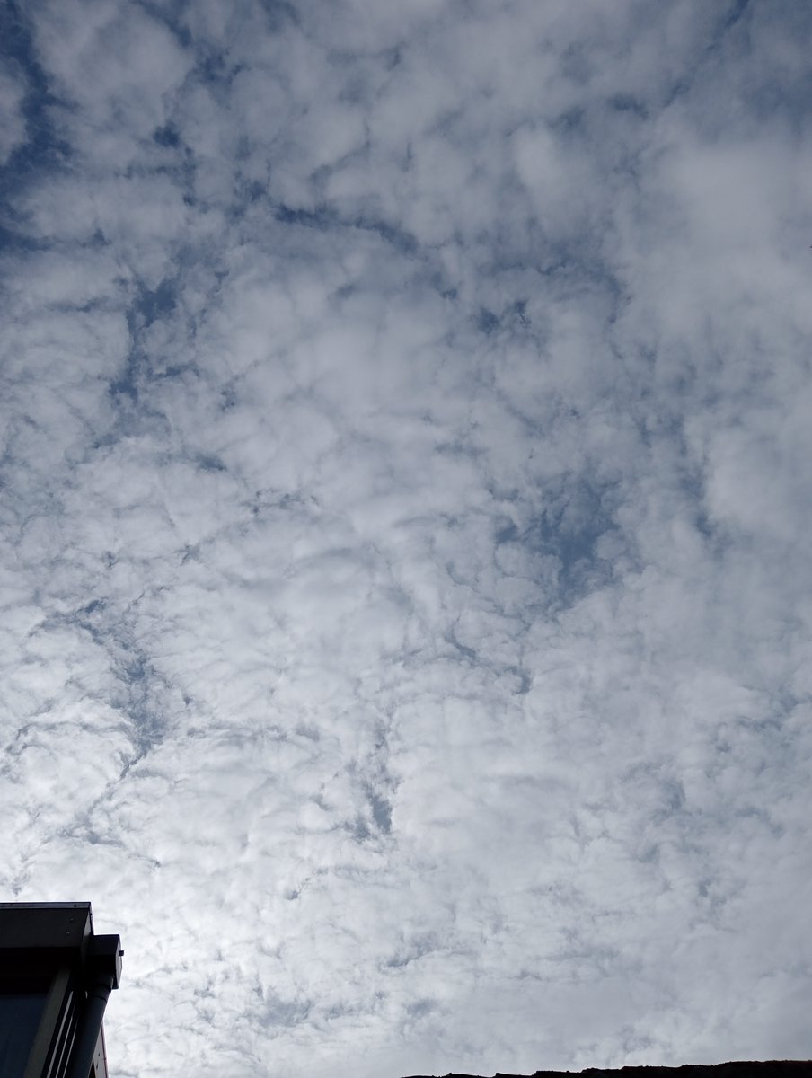 Lavante21575499's tweet image. More Netherlands, November 10th. Another day of frequency warfare here. After this the spraying will start again. It&apos;s so obvious and always the same. #GEOENGINEERING #HAARP #DOPPLER #NEXRAD #EISCAT #BIOTERRORISM