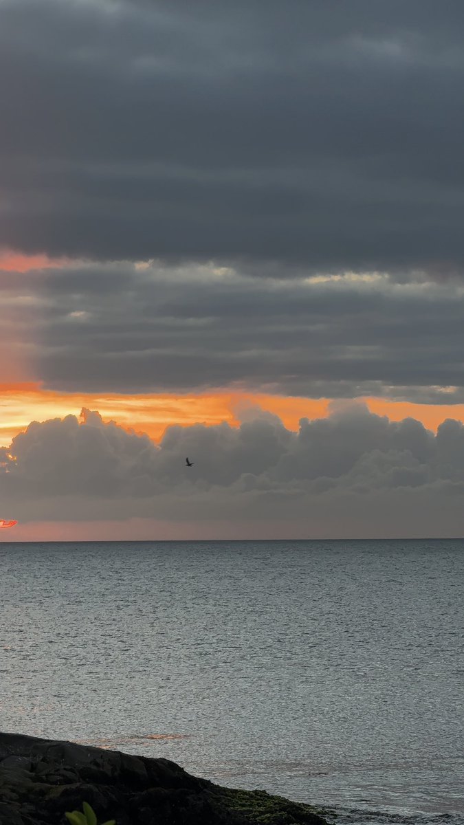 te0y_m's tweet image. المحروم فعلًا اللي ما شهدت عينه غروب مرباط 🧡