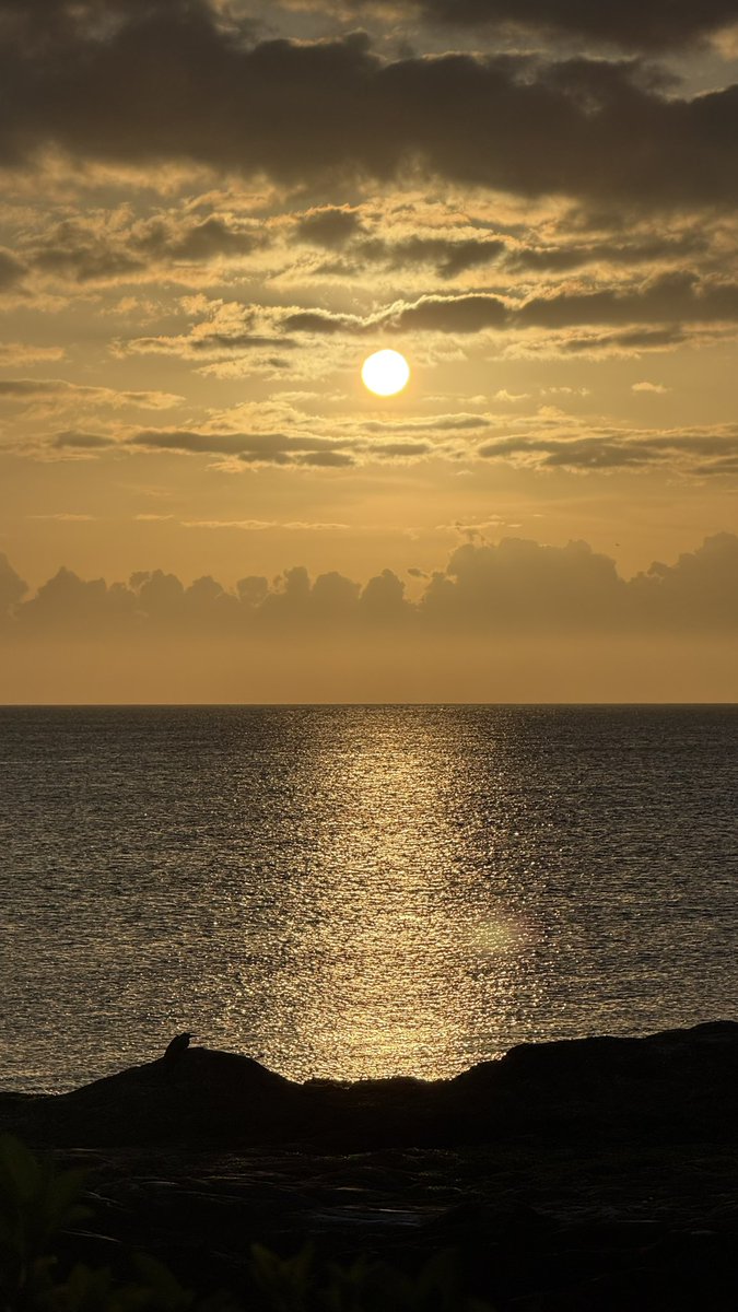 te0y_m's tweet image. المحروم فعلًا اللي ما شهدت عينه غروب مرباط 🧡