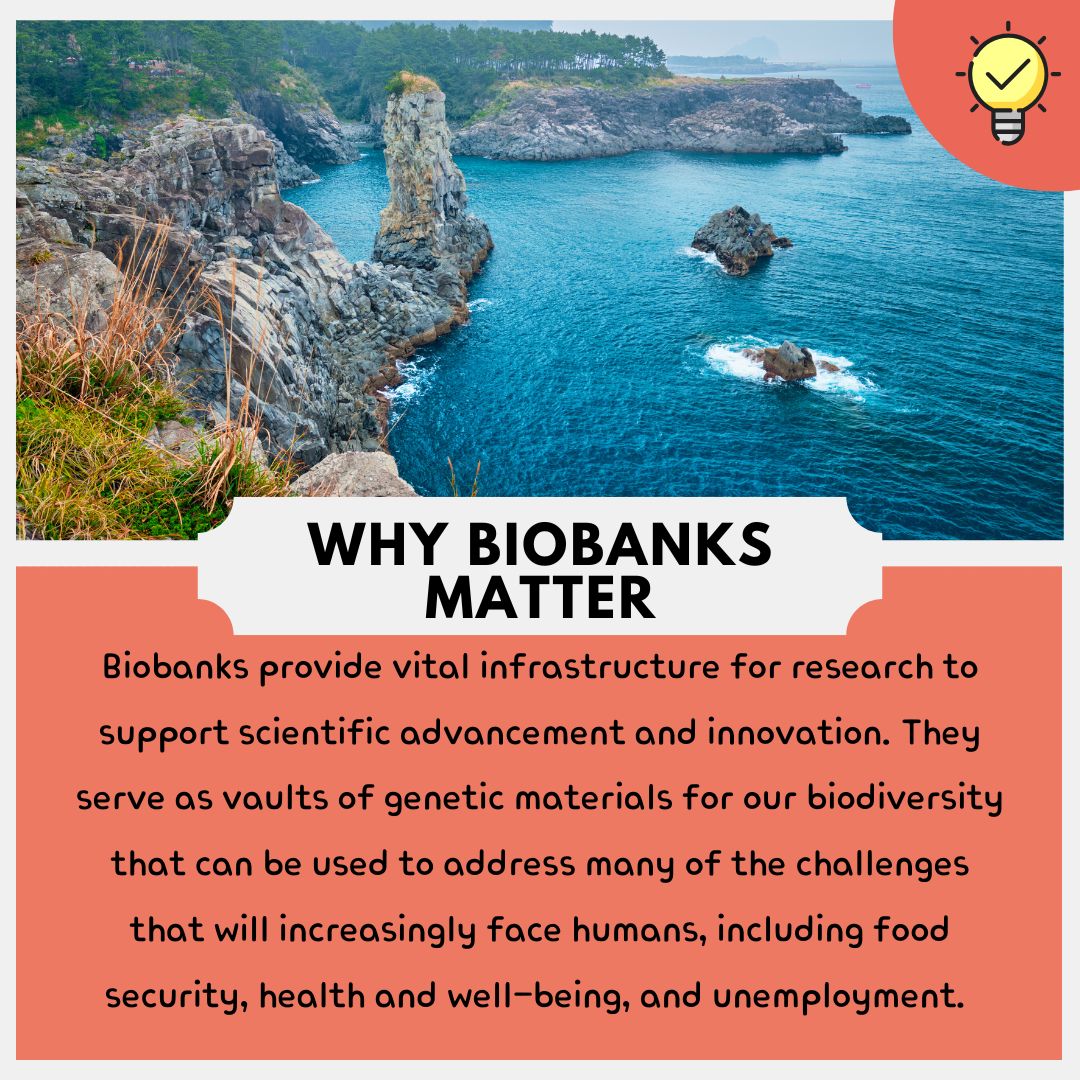 [READ] It's World #ScienceDay for Peace &amp; Development, a time to highlight the importance of science in society and our daily lives. Here's how biodiversity biobanks are helping to improve the world we live in, one discovery at a time.

Find out more: bbsa.org.za/2023/07/18/sha…