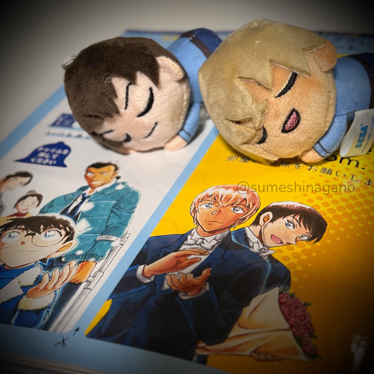 こちらとヒレカツを抱きしめながら帰ってきた❣️