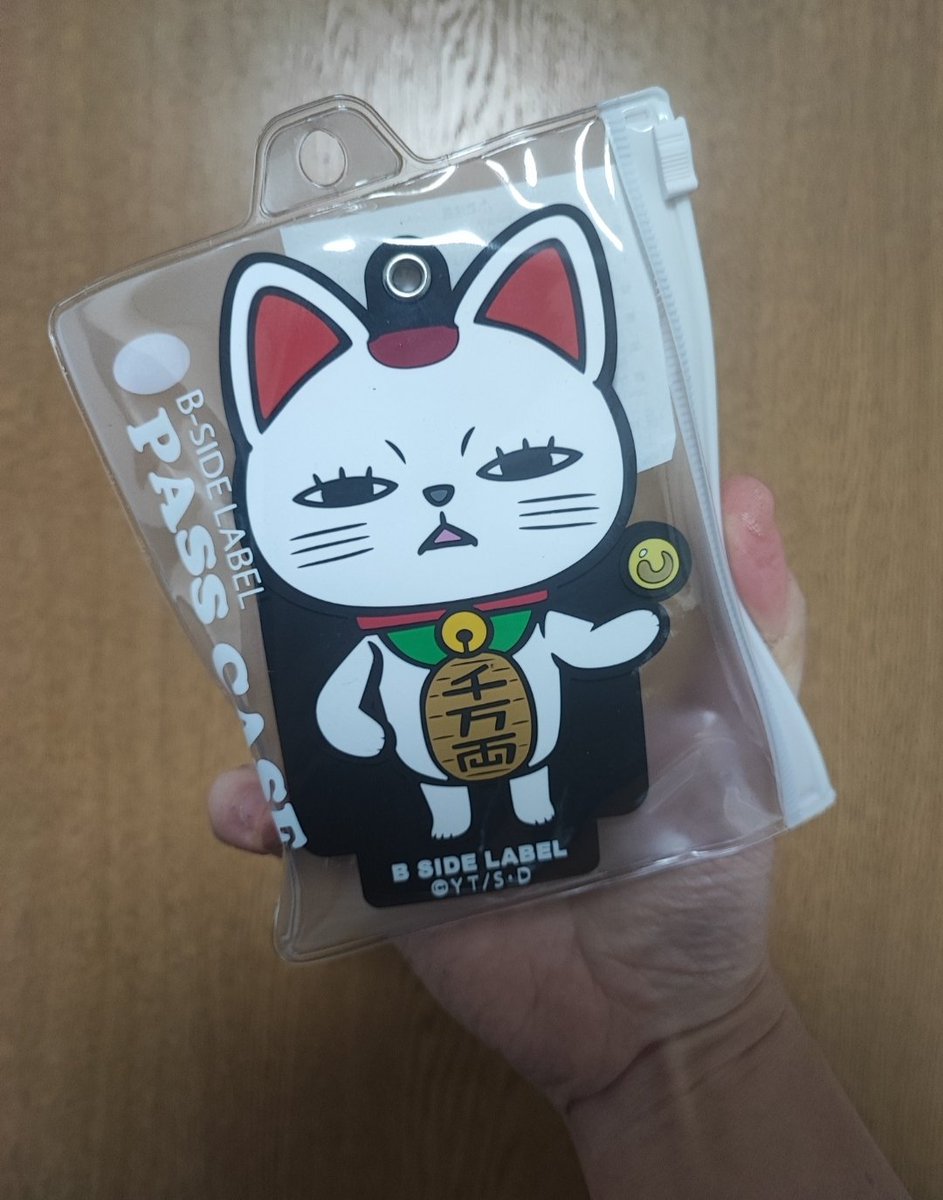 三毛猫 三毛猫教授 on X