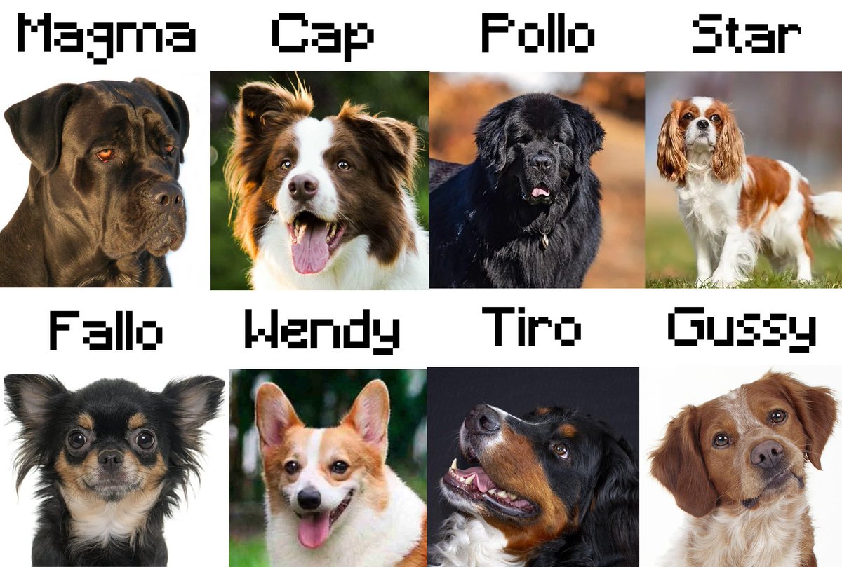 TheMagmaBoi's tweet image. hicimos nuestro cast si fueramos perritos. qué opinamos¿¿