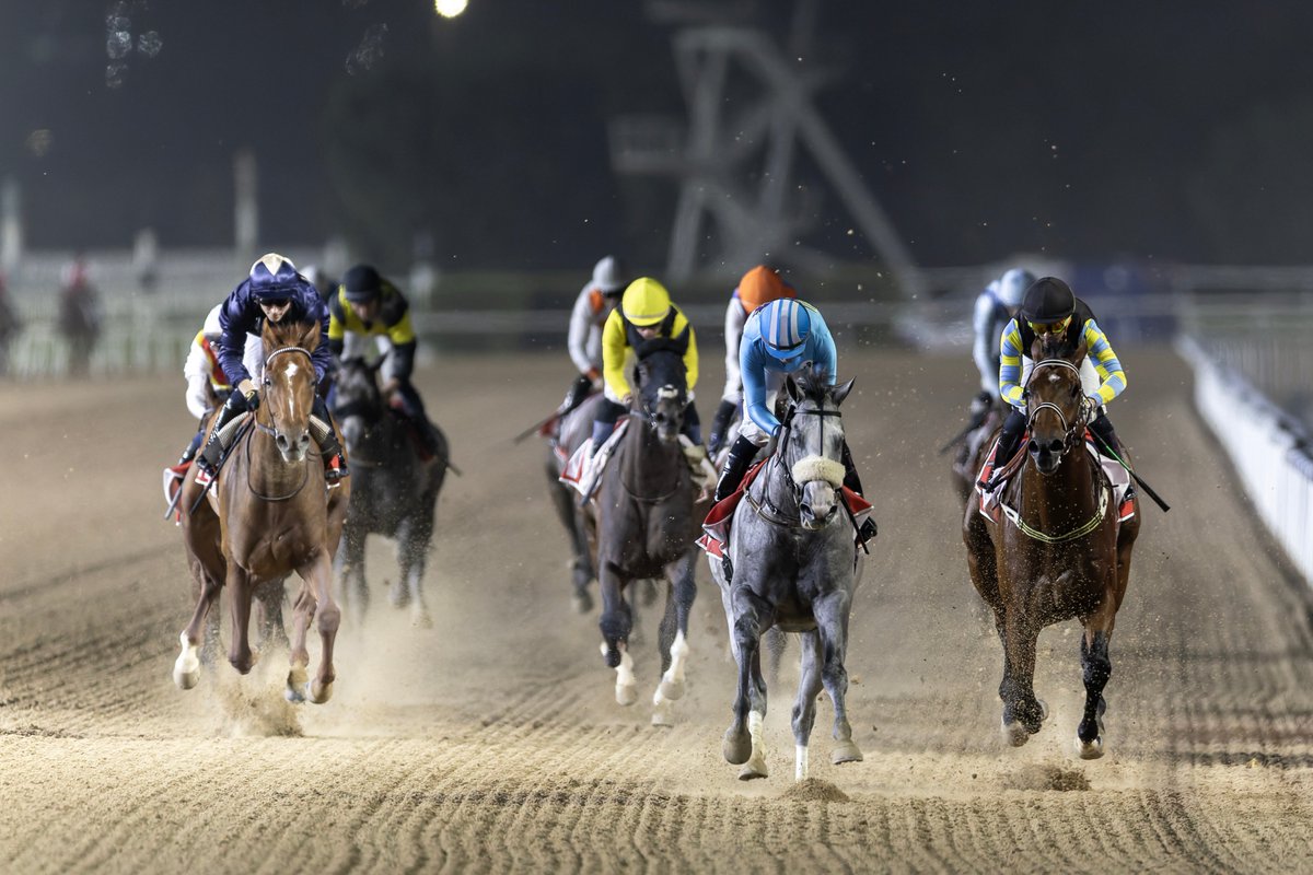 Handicap Ratings revisions after Friday's #DubaiCarnival meeting:

🐎 Dark Saffron - 112 
🐎 Gray Boss - 86
🐎 Union Security - 90
🐎 Shepperton Lodge ⬆️ 13 to 95
🐎 Cupid's Dream ⬆️ 9 to 105
🐎 Road Bloc ⬆️ 5 to 85 
🐎 Norato ⬆️ 8 to 85