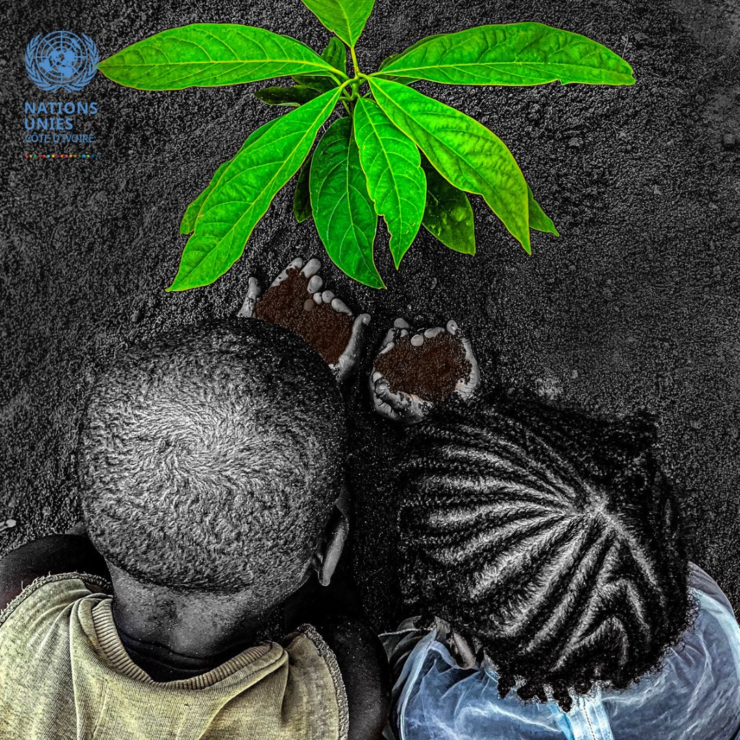 ONU_CIV's tweet image. Sécheresses, inondations, insécurité alimentaire…🌍
Le changement climatique touche déjà l’Afrique.
Mais le continent a aussi les clés d&apos;un futur durable : 
💡 Innovations vertes
⚡ Énergies propres
👩🏾‍🤝‍👩🏿 Jeunesse engagée

🌱À la #COP30, portons la voix d’une Afrique qui agit !