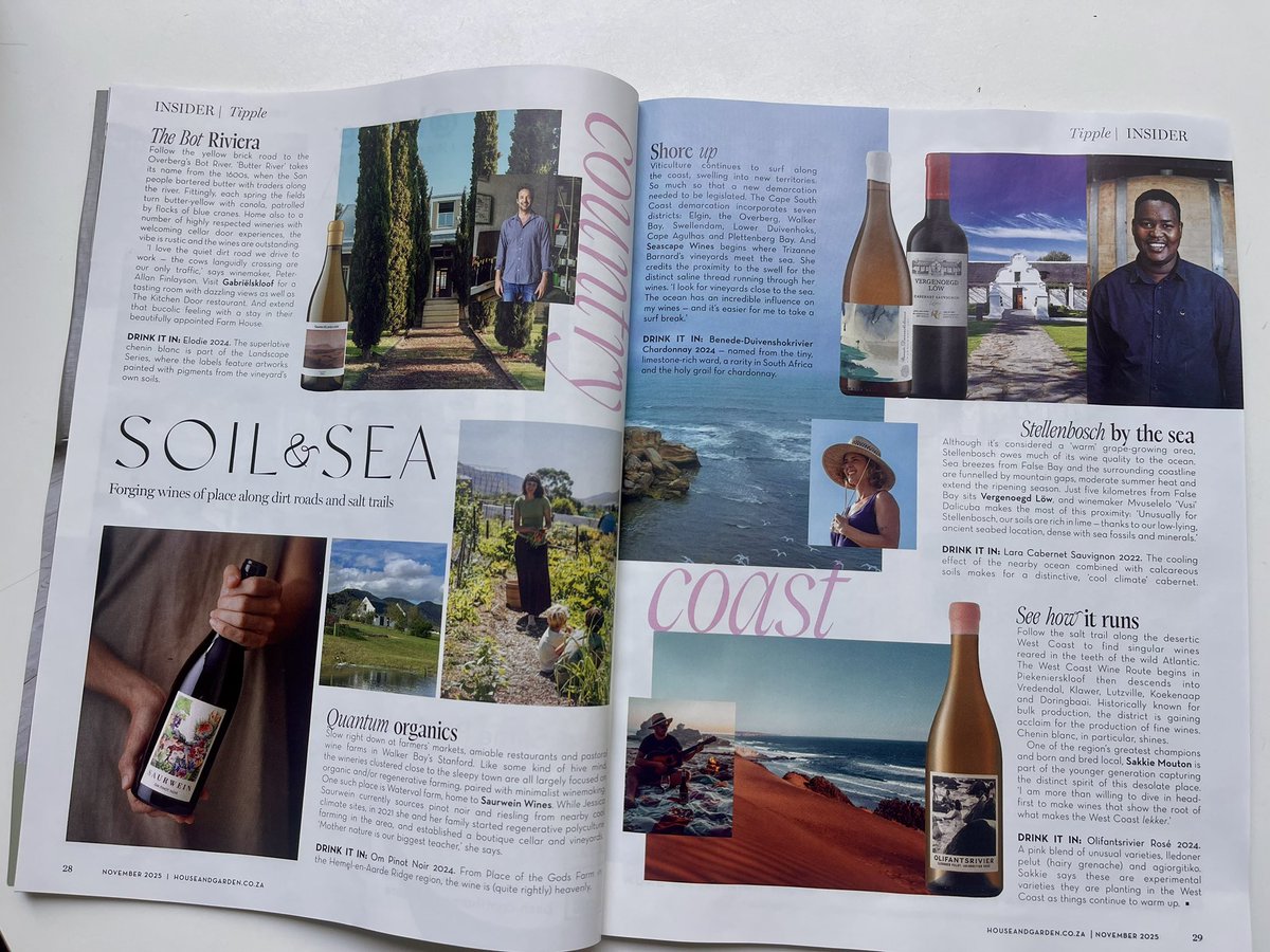 Malu Lambert tweet media